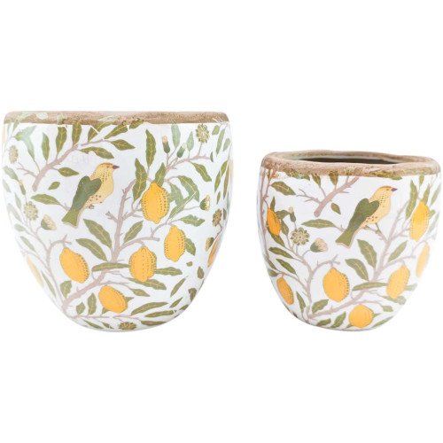 Photograph of Vintage Lemon Planters S/2