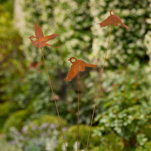 Photograph of Bird Spray Rust