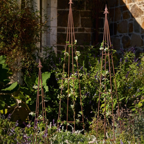 Photograph of Growing Frame Rust - large
