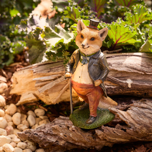 Fox Character Photograph of Fox Character