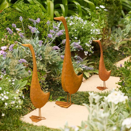 Photograph of Duck Tall Rust S/3