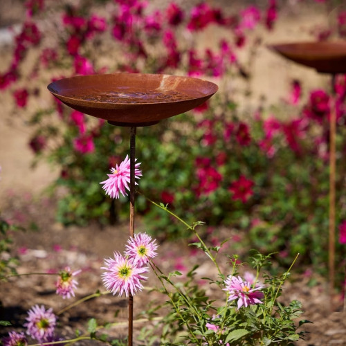 Photograph of Stake Bird Bath 40cm Rust