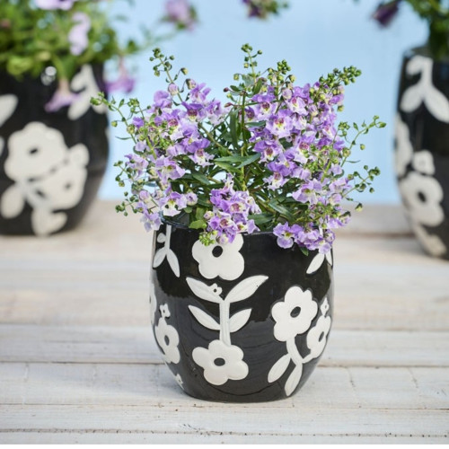 Photograph of Black and White Pot - Small