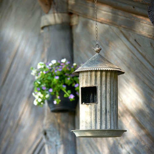 Bird Feeder House Zinc Aged Photograph of Bird Feeder House Zinc Aged