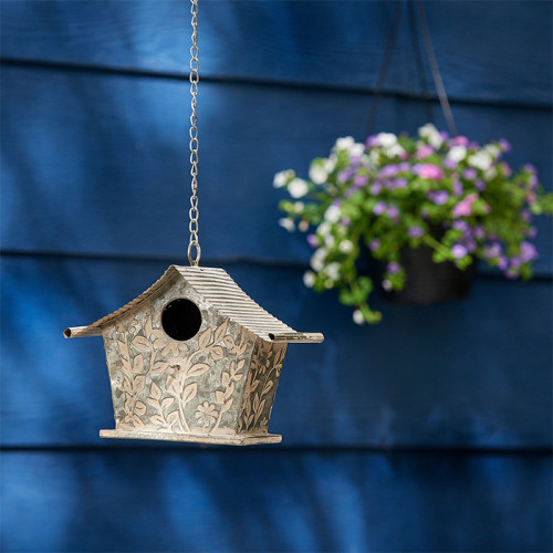 Bird house Zinc Flower Photograph of Bird house Zinc Flower