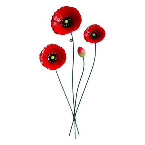 Photograph of Poppy Wall Art