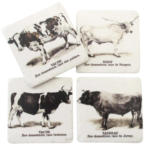 Photograph of Coasters S/4 Cows