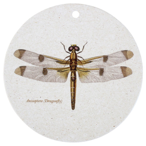 Wall Plaque/trivet Dragonfly Photograph of Wall Plaque/trivet Dragonfly