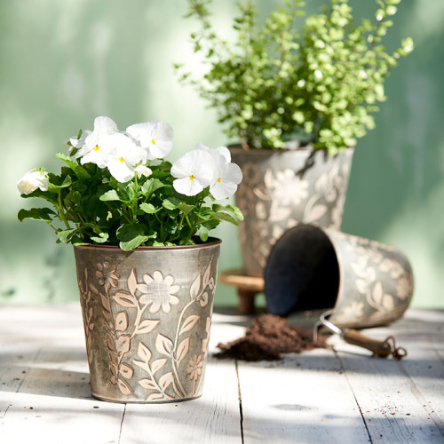 Zinc flower pots Photograph of Zinc flower pots
