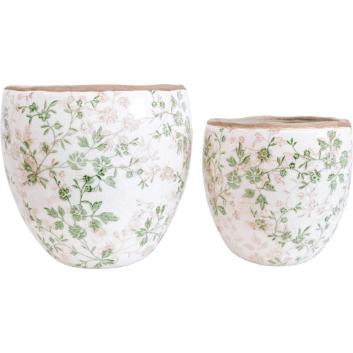 Planter Evergreen - Set of 2 Photograph of Planter Evergreen - Set of 2