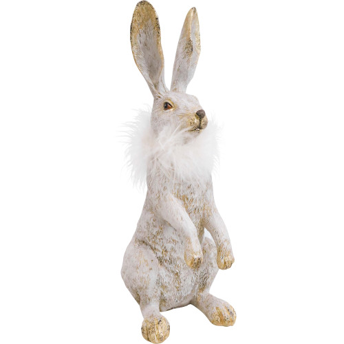 Sitting Hare Jemima Photograph of Sitting Hare Jemima