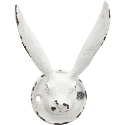 Hook Hare White Photograph of Hook Hare White