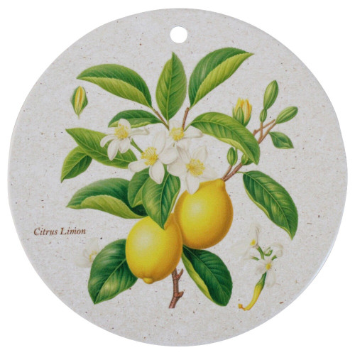 Wall Plaque/trivet Lemon Photograph of Wall Plaque/trivet Lemon