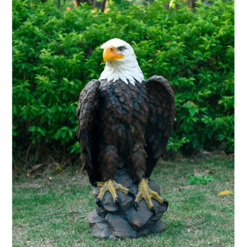 Photograph of Eagle