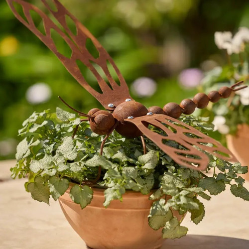 Photograph of Dragonfly Small Standing
