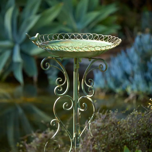 Photograph of Bird bath