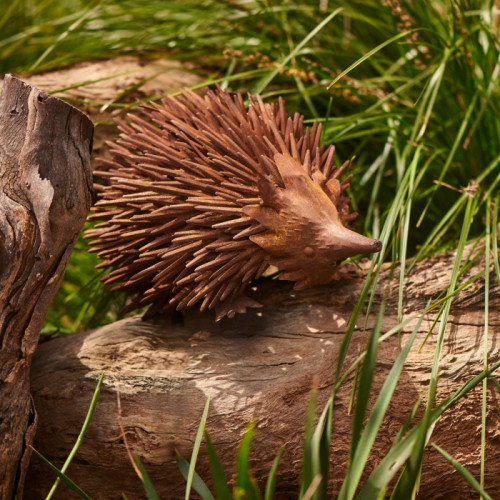 Photograph of Rusty Echidna