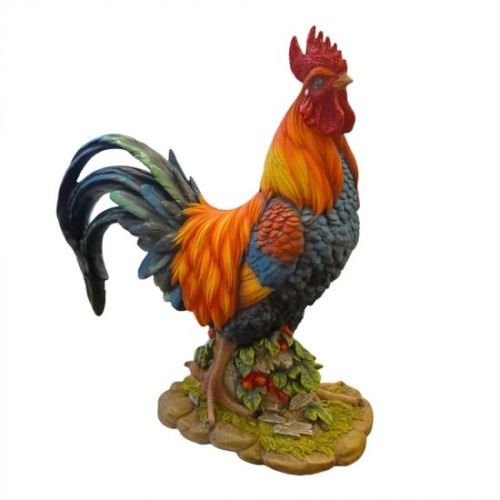 Photograph of Handsome Rooster