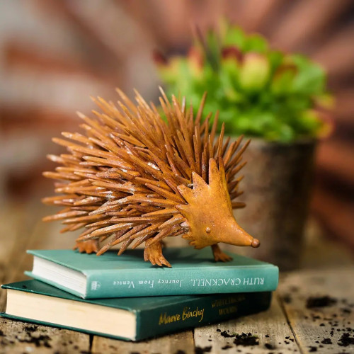 Photograph of Rusty Echnidna Small
