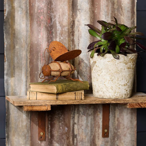 Photograph of Rusty Bee