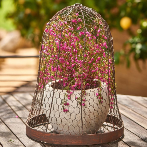 Photograph of Cloche round vertical