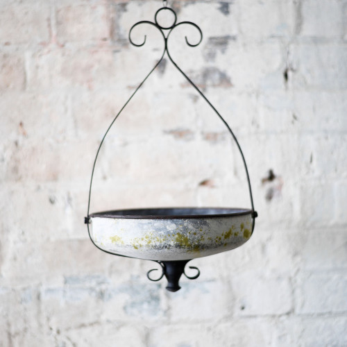Photograph of Bird Feeder Hanging