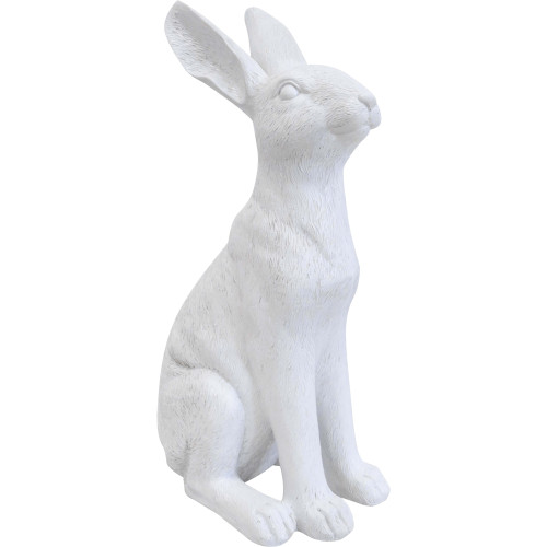 Photograph of Rabbit White